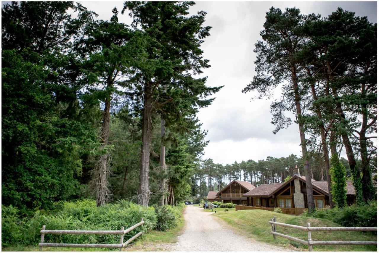 Dorset Resort Hotel East Stoke  Kültér fotó
